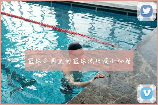 篮球公园里的篮球技巧提升秘籍