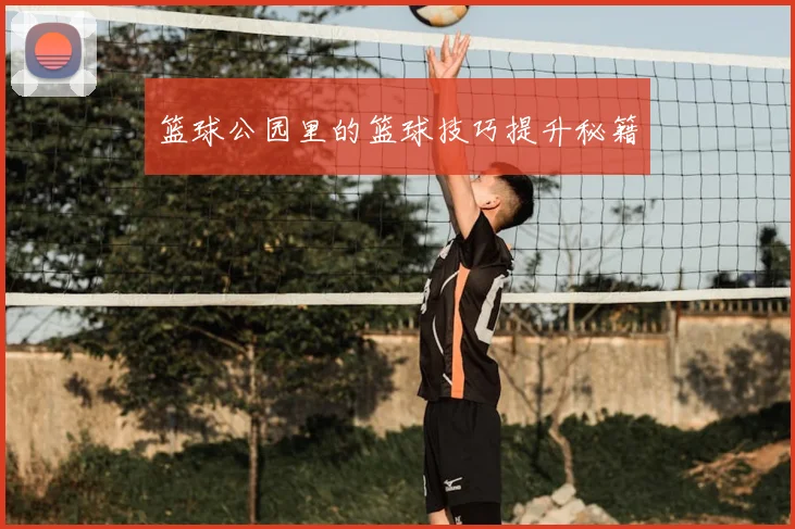 篮球公园里的篮球技巧提升秘籍